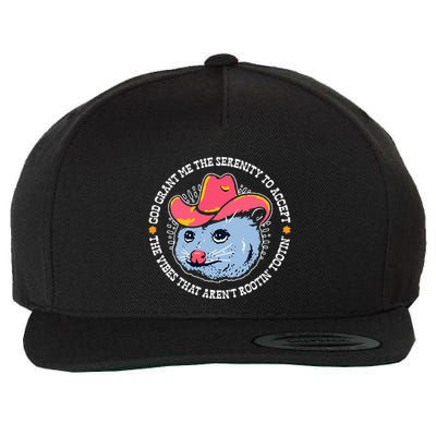 Accept The Vibes That ArenT Rootin Tootin Funny Opossum Wool Snapback Cap