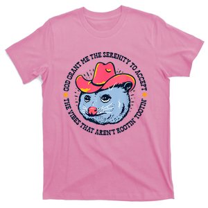 Accept The Vibes That Arent Rootin Tootin Funny Opossum T-Shirt