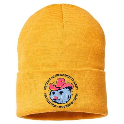 Accept The Vibes That Arent Rootin Tootin Funny Opossum Sustainable Knit Beanie