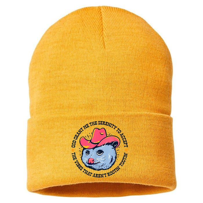 Accept The Vibes That Arent Rootin Tootin Funny Opossum Sustainable Knit Beanie