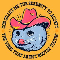 Accept The Vibes That Arent Rootin Tootin Funny Opossum Pom Pom 12in Knit Beanie