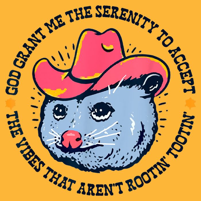 Accept The Vibes That Arent Rootin Tootin Funny Opossum Pom Pom 12in Knit Beanie