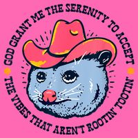 Accept The Vibes That Arent Rootin Tootin Funny Opossum Stripe Pom Pom Beanie