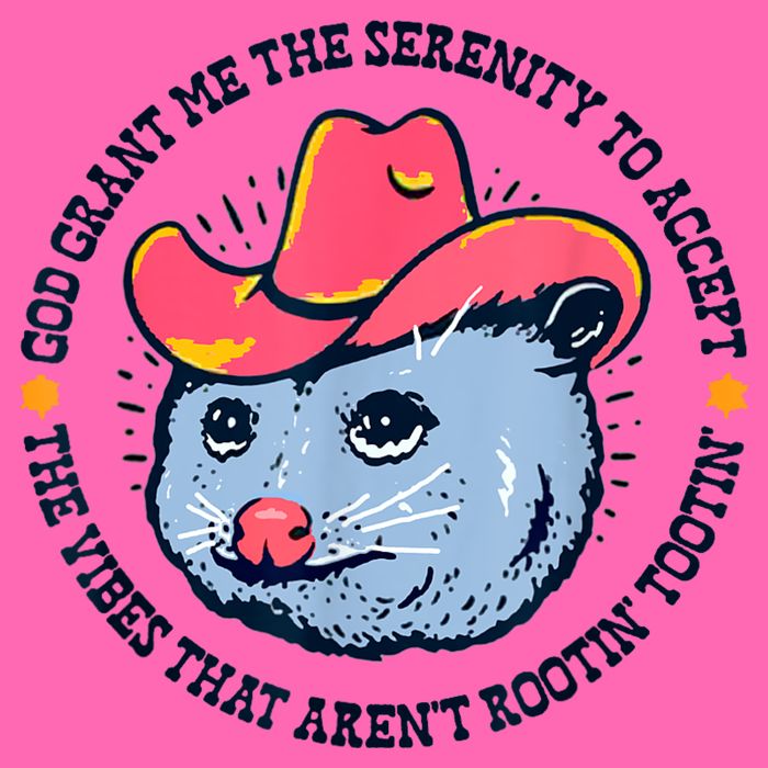 Accept The Vibes That Arent Rootin Tootin Funny Opossum Stripe Pom Pom Beanie