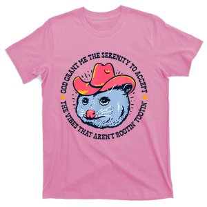 Accept The Vibes That Arent Rootin Tootin Funny Opossum T-Shirt