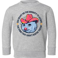 Accept The Vibes That Arent Rootin Tootin Funny Opossum Toddler Sweatshirt