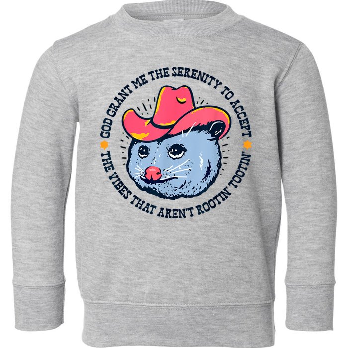 Accept The Vibes That Arent Rootin Tootin Funny Opossum Toddler Sweatshirt
