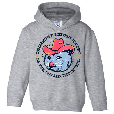 Accept The Vibes That Arent Rootin Tootin Funny Opossum Toddler Hoodie