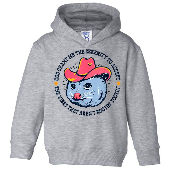 Accept The Vibes That Arent Rootin Tootin Funny Opossum Toddler Hoodie