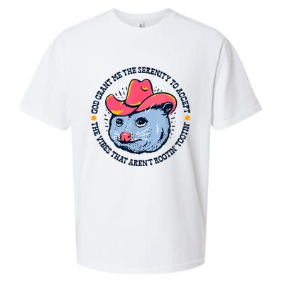 Accept The Vibes That Arent Rootin Tootin Funny Opossum Sueded Cloud Jersey T-Shirt