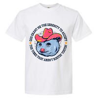 Accept The Vibes That Arent Rootin Tootin Funny Opossum Garment-Dyed Heavyweight T-Shirt