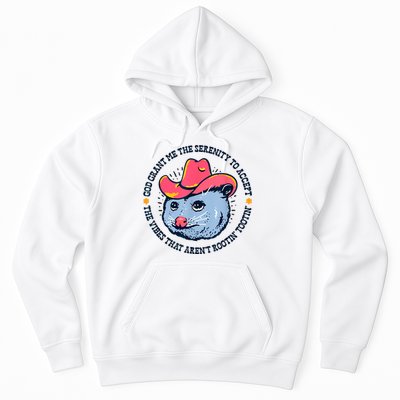 Accept The Vibes That Arent Rootin Tootin Funny Opossum Hoodie