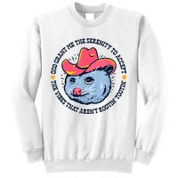 Accept The Vibes That Arent Rootin Tootin Funny Opossum Sweatshirt