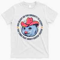 Accept The Vibes That Arent Rootin Tootin Funny Opossum T-Shirt