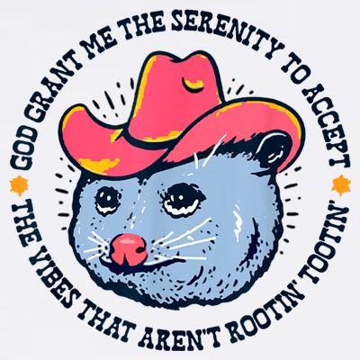 Accept The Vibes That Arent Rootin Tootin Funny Opossum T-Shirt