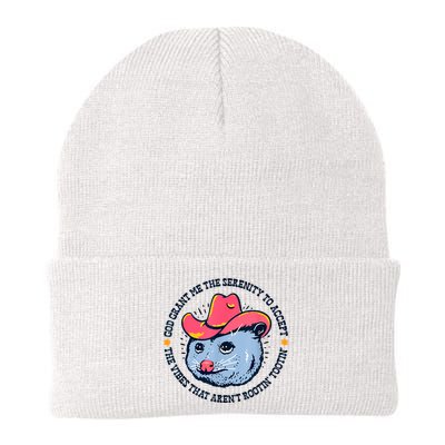 Accept The Vibes That Arent Rootin Tootin Funny Opossum Beanie