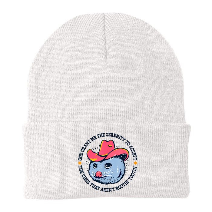 Accept The Vibes That Arent Rootin Tootin Funny Opossum Beanie