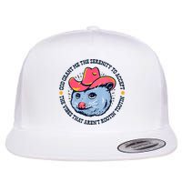 Accept The Vibes That Arent Rootin Tootin Funny Opossum Flat Bill Trucker Hat