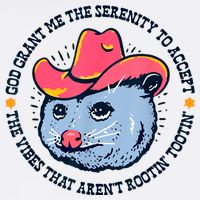 Accept The Vibes That Arent Rootin Tootin Funny Opossum Flat Bill Trucker Hat