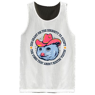 Accept The Vibes That Arent Rootin Tootin Funny Opossum Mesh Reversible Basketball Jersey Tank