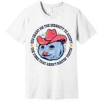 Accept The Vibes That Arent Rootin Tootin Funny Opossum Premium T-Shirt