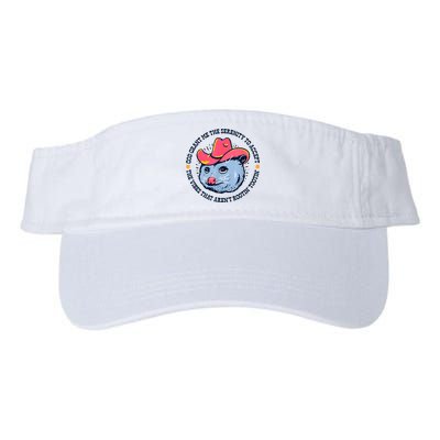Accept The Vibes That Arent Rootin Tootin Funny Opossum Visor