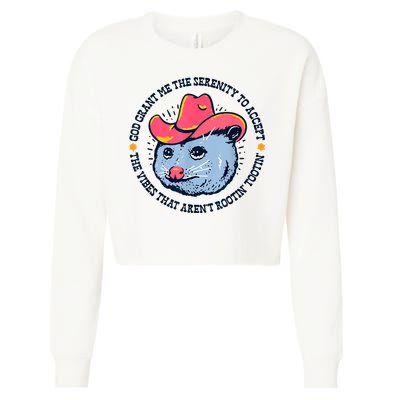 Accept The Vibes That Arent Rootin Tootin Funny Opossum Cropped Pullover Crew