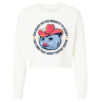 Accept The Vibes That Arent Rootin Tootin Funny Opossum Cropped Pullover Crew
