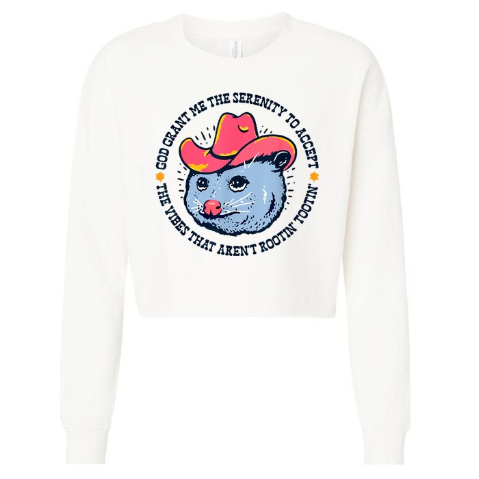 Accept The Vibes That Arent Rootin Tootin Funny Opossum Cropped Pullover Crew