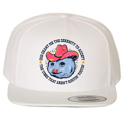 Accept The Vibes That Arent Rootin Tootin Funny Opossum Wool Snapback Cap