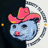 Accept The Vibes That Arent Rootin Tootin Funny Opossum Infant Baby Jersey Bodysuit