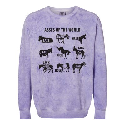 Asses The World Funny Lazy Smart Half Fat Kick Kick Donkey Colorblast Crewneck Sweatshirt