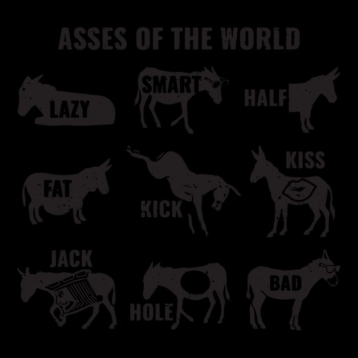 Asses The World Funny Lazy Smart Half Fat Kick Kick Donkey Stripe Pom Pom Beanie
