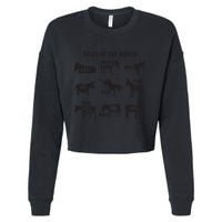 Asses The World Funny Lazy Smart Half Fat Kick Kick Donkey Cropped Pullover Crew