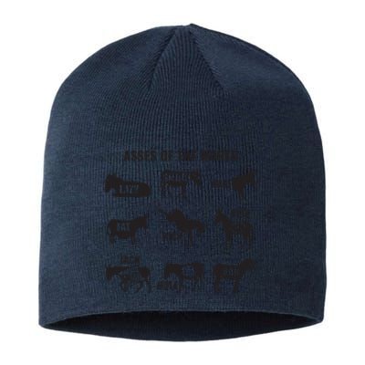 Asses The World Funny Lazy Smart Half Fat Kick Kick Donkey Sustainable Beanie