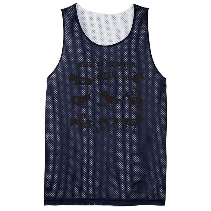 Asses The World Funny Lazy Smart Half Fat Kick Kick Donkey Mesh Reversible Basketball Jersey Tank