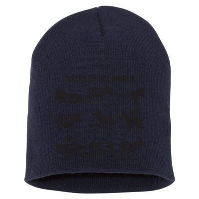 Asses The World Funny Lazy Smart Half Fat Kick Kick Donkey Short Acrylic Beanie