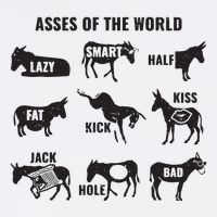 Asses The World Funny Lazy Smart Half Fat Kick Kick Donkey Garment-Dyed Sweatshirt