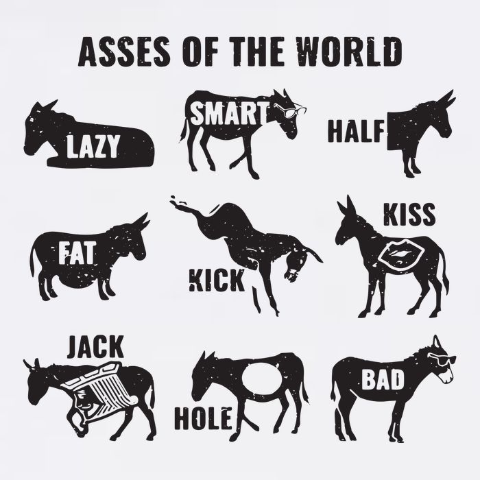 Asses The World Funny Lazy Smart Half Fat Kick Kick Donkey Garment-Dyed Sweatshirt