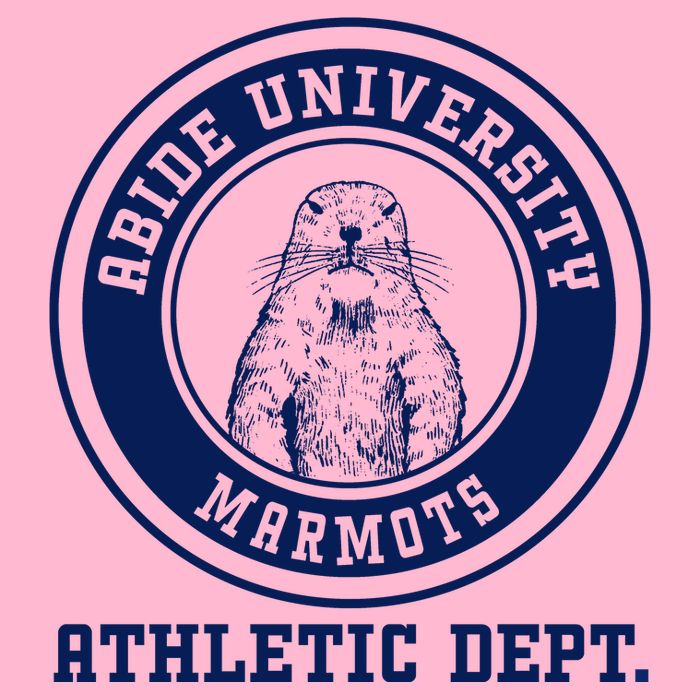 Abide University Athletic Dept. Marmots Womens T-Shirt