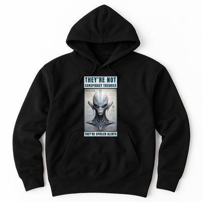 Alien Ufo Conspiracy Theory Disclosure Hoodie