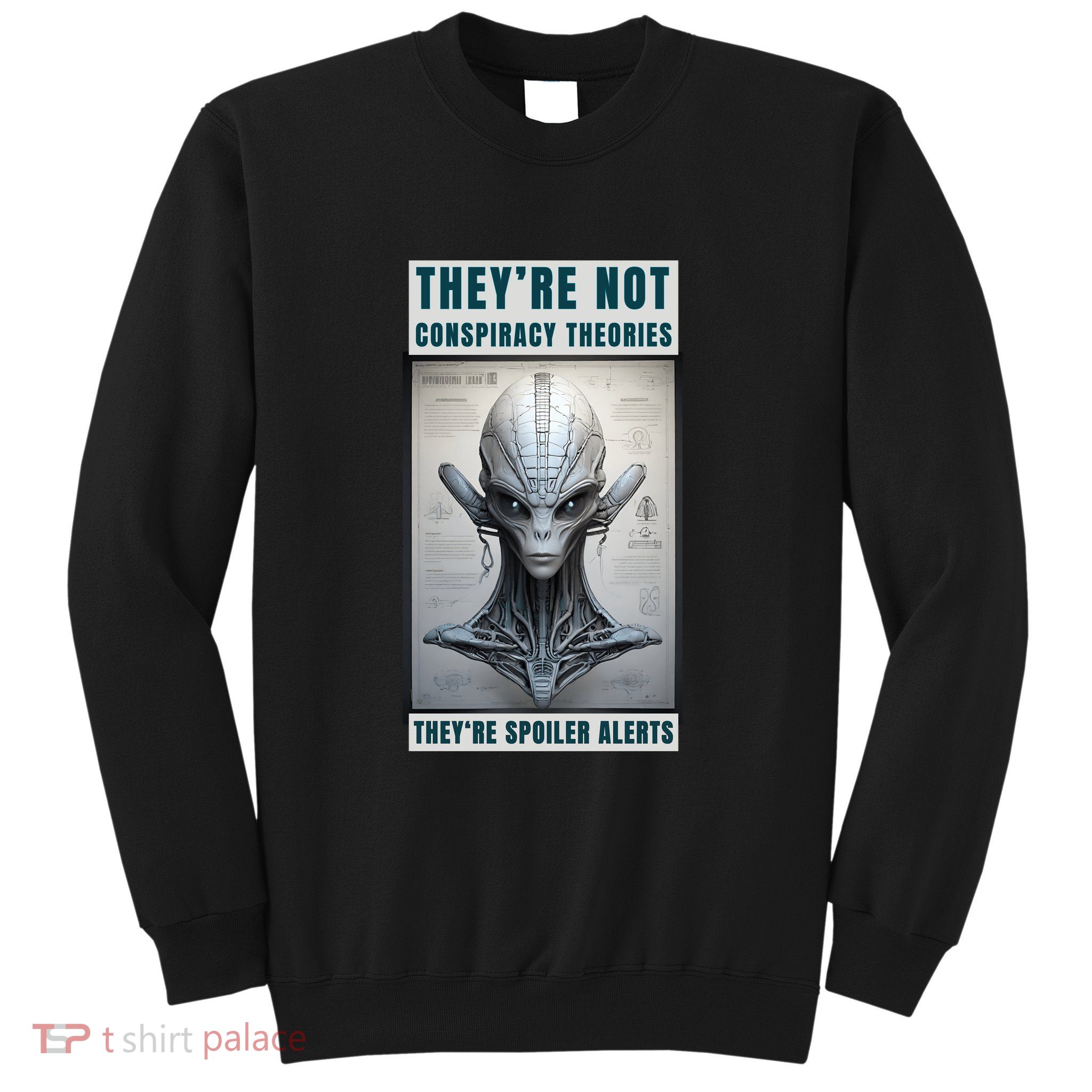 Alien Ufo Conspiracy Theory Disclosure Sweatshirt