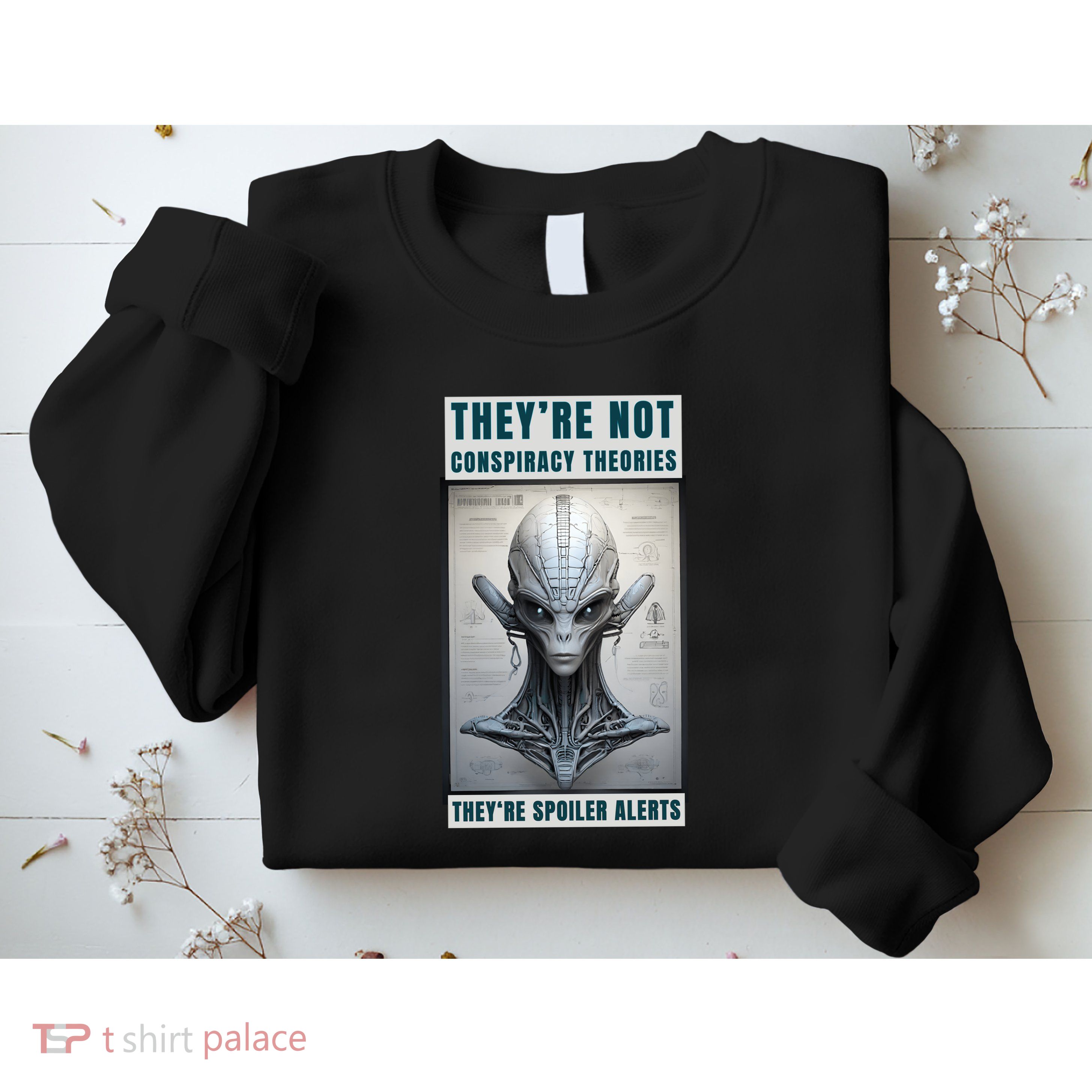 Alien Ufo Conspiracy Theory Disclosure Sweatshirt