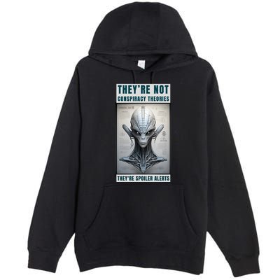 Alien Ufo Conspiracy Theory Disclosure Premium Pullover Hoodie
