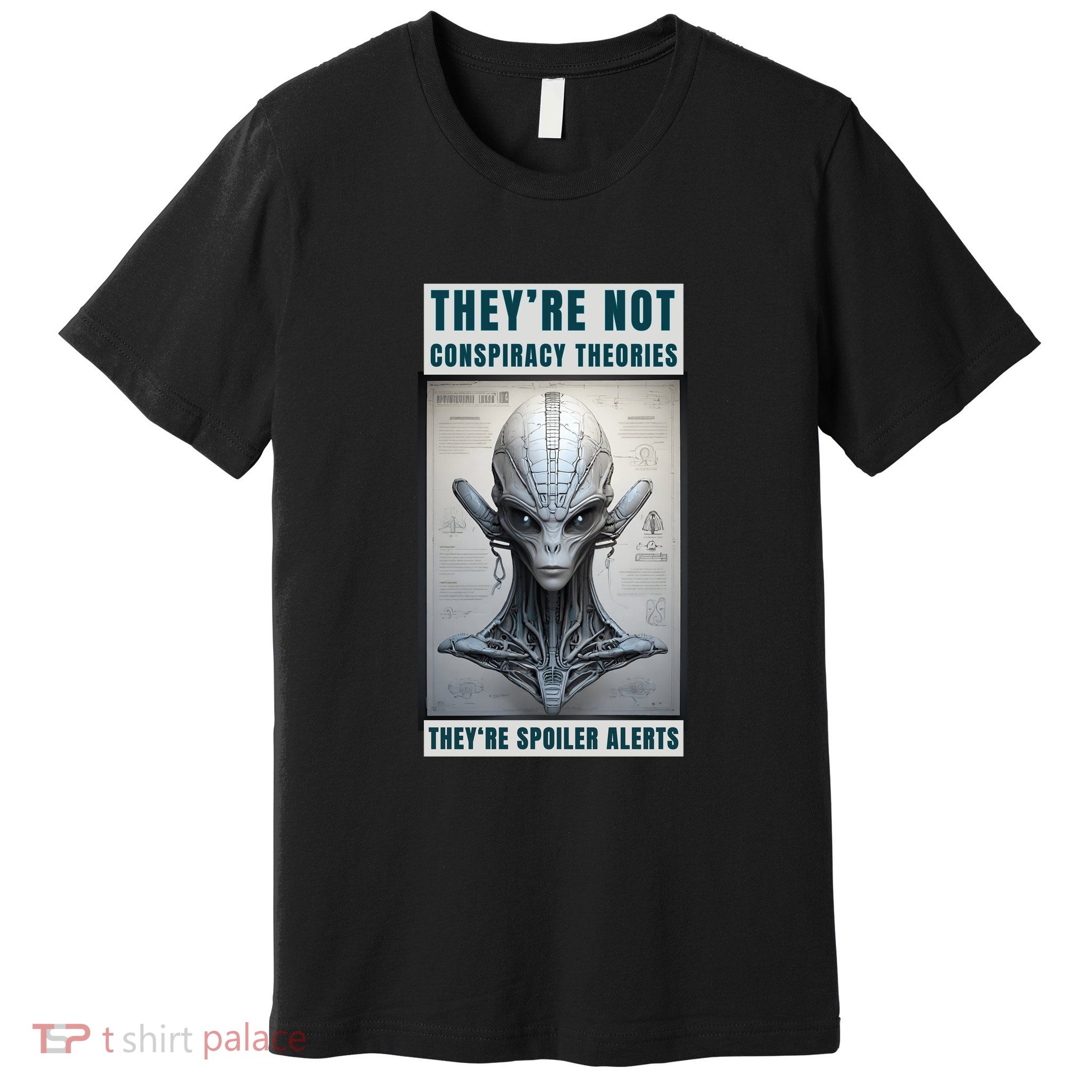 Alien Ufo Conspiracy Theory Disclosure Premium T-Shirt