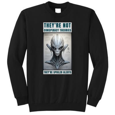 Alien Ufo Conspiracy Theory Disclosure Tall Sweatshirt