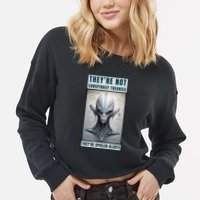Alien Ufo Conspiracy Theory Disclosure Cropped Pullover Crew