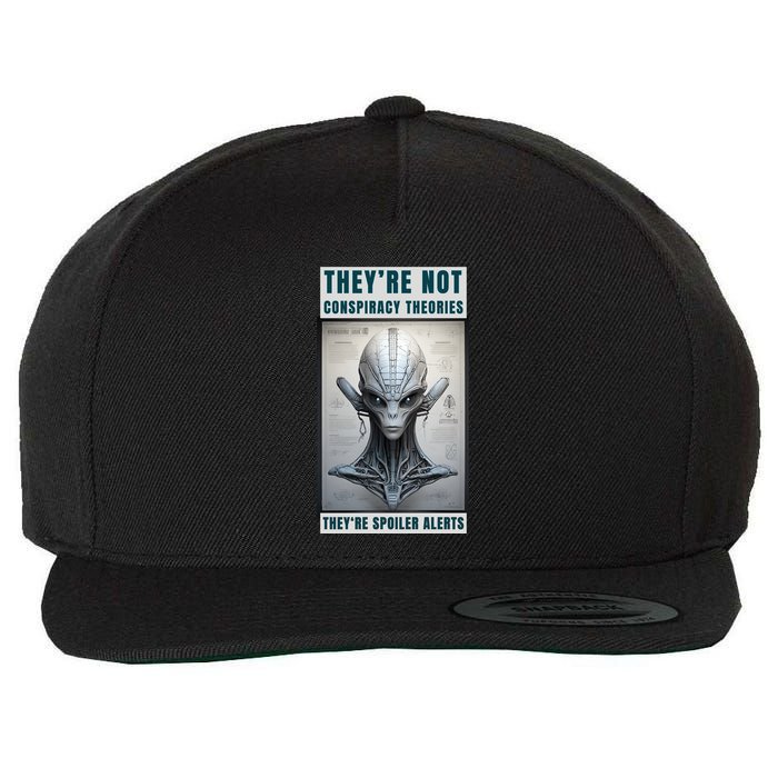 Alien Ufo Conspiracy Theory Disclosure Wool Snapback Cap