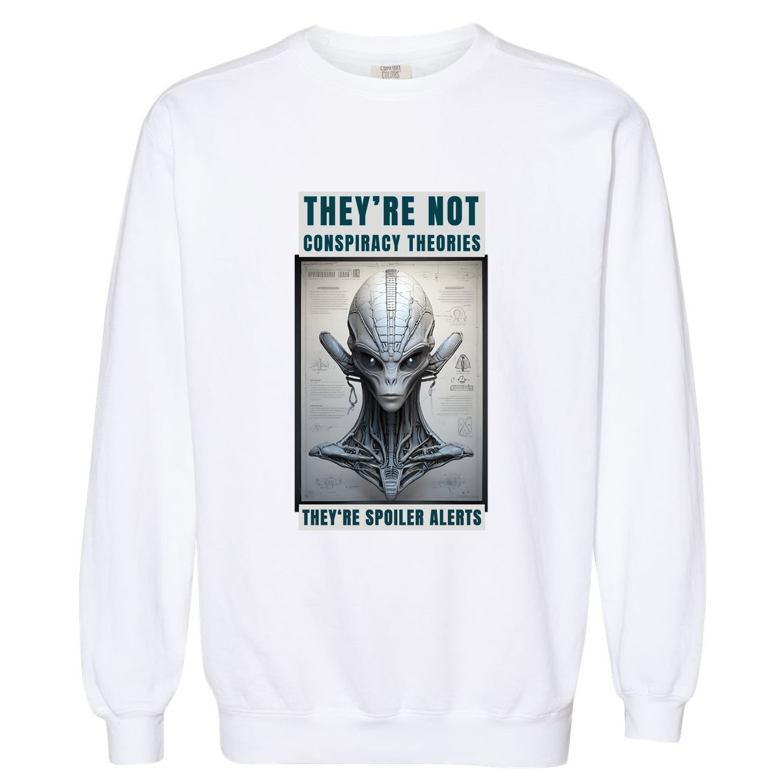 Alien Ufo Conspiracy Theory Disclosure Garment-Dyed Sweatshirt