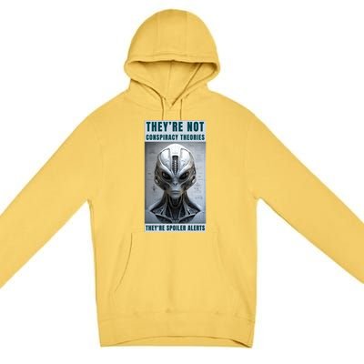 Alien Ufo Conspiracy Theory Disclosure Premium Pullover Hoodie